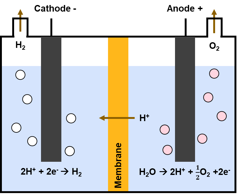 The electrolysis process can produce green hydrogen