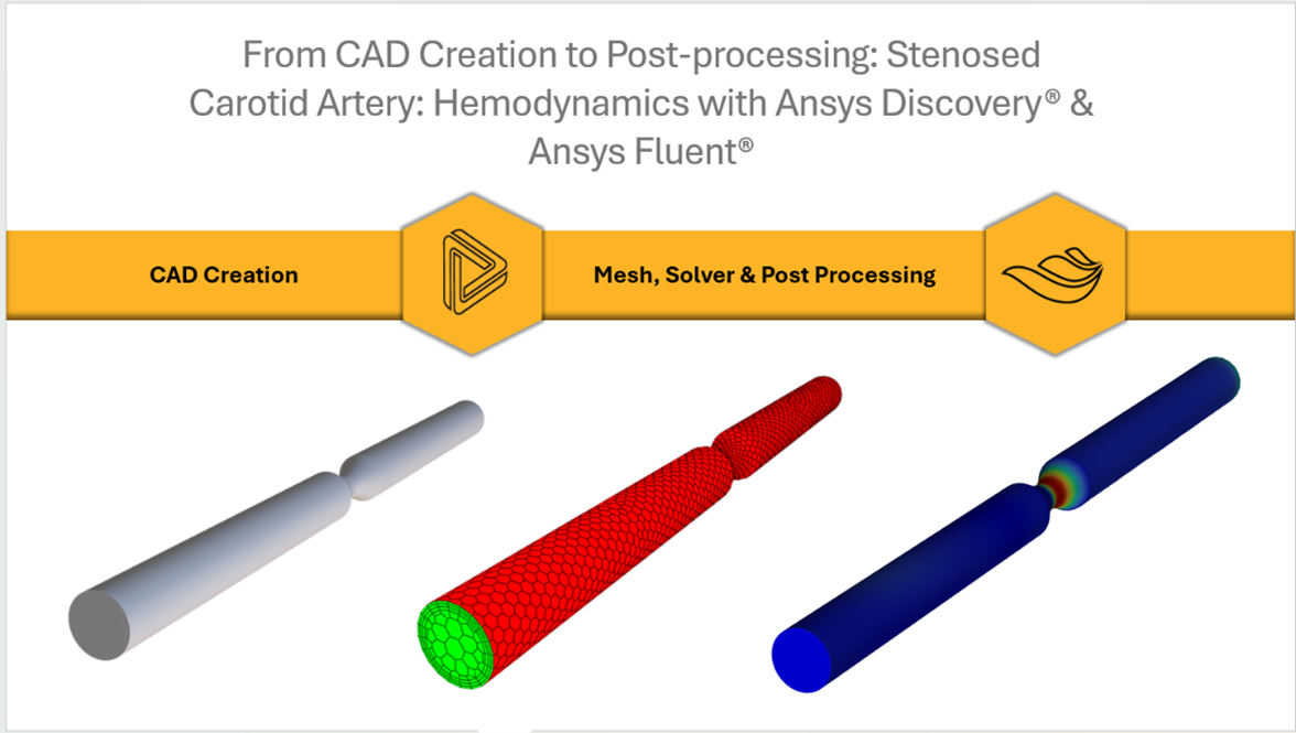 Getting Started with Ansys Fluent for Biomedical Engineering